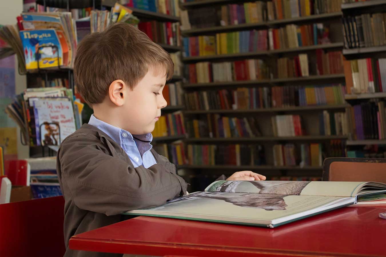 المستوى الثاني الفرنسي: لبنات البناء الفرنسية